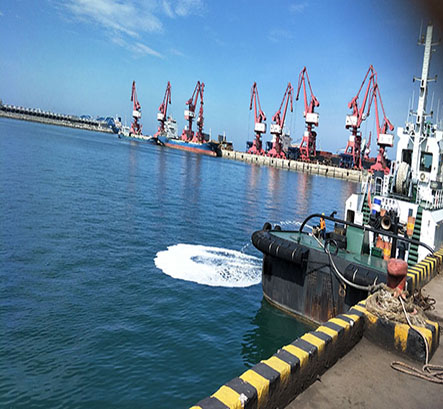 金海浆纸专用码头溢油事故应急救援专项训练